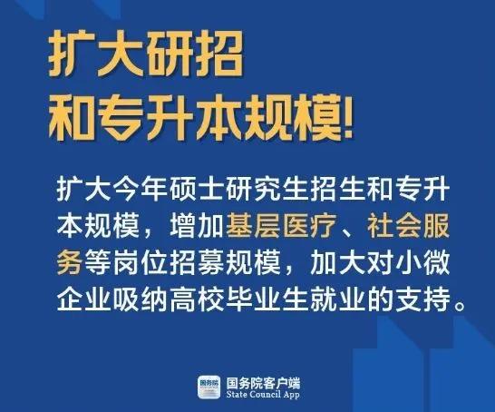 最新就业政策及其社会深远影响分析