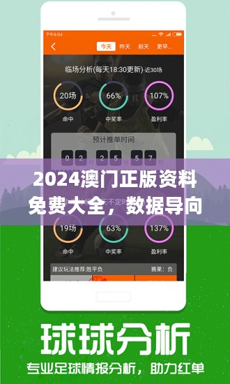 2024年今晚澳门开特马,高效实施方法解析_顶级版81.604