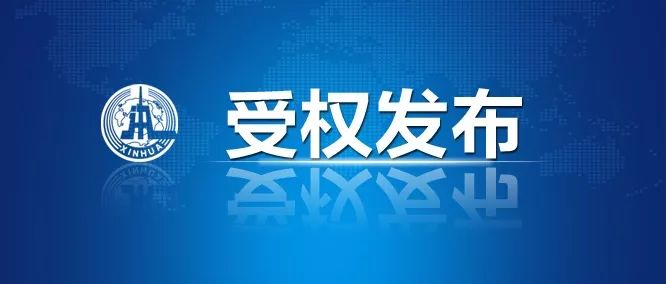 新奥正版免费资料大全,正确解答落实_MR79.205