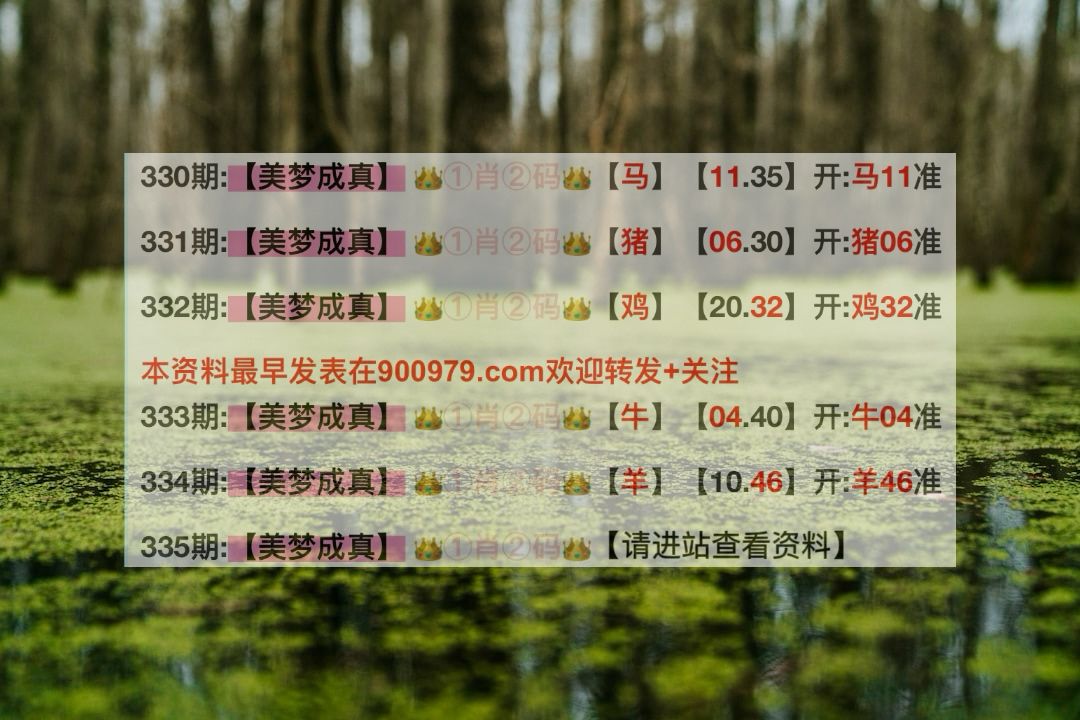 六叔公澳门资料2024年,最佳选择解析说明_挑战款12.587