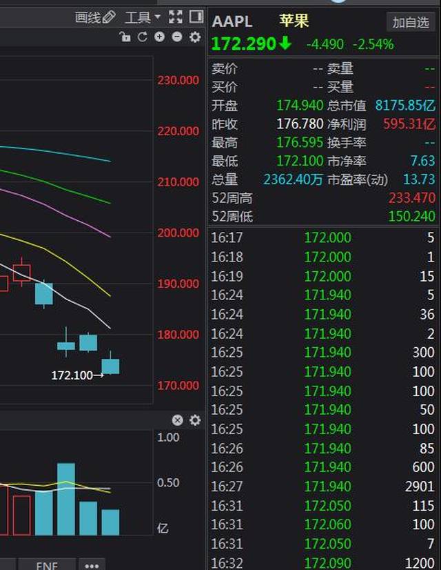 新奥天天免费资料大全,最新成果解析说明_XP29.172