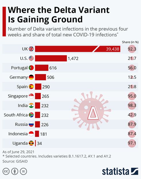 2024新奥资料免费49图库,收益成语分析落实_5DM90.405