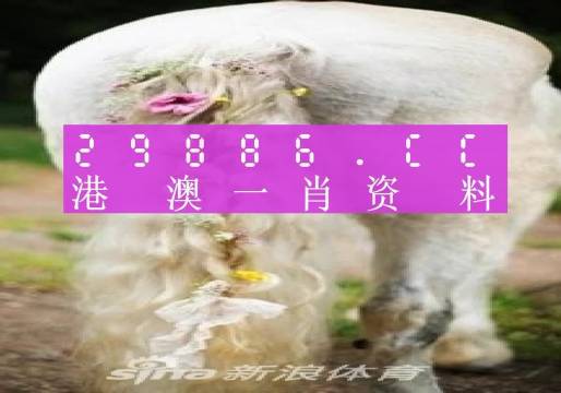 四不像今晚必中一肖,准确资料解释落实_Android256.183