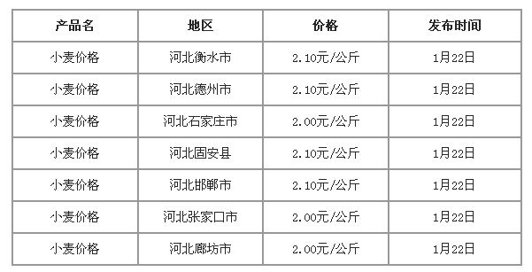 河北小麦价格最新行情解析