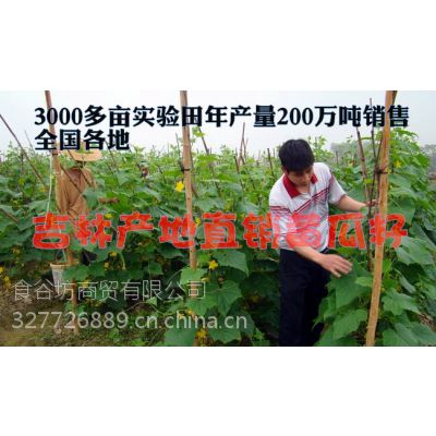 湖北菜籽最新价格行情解析