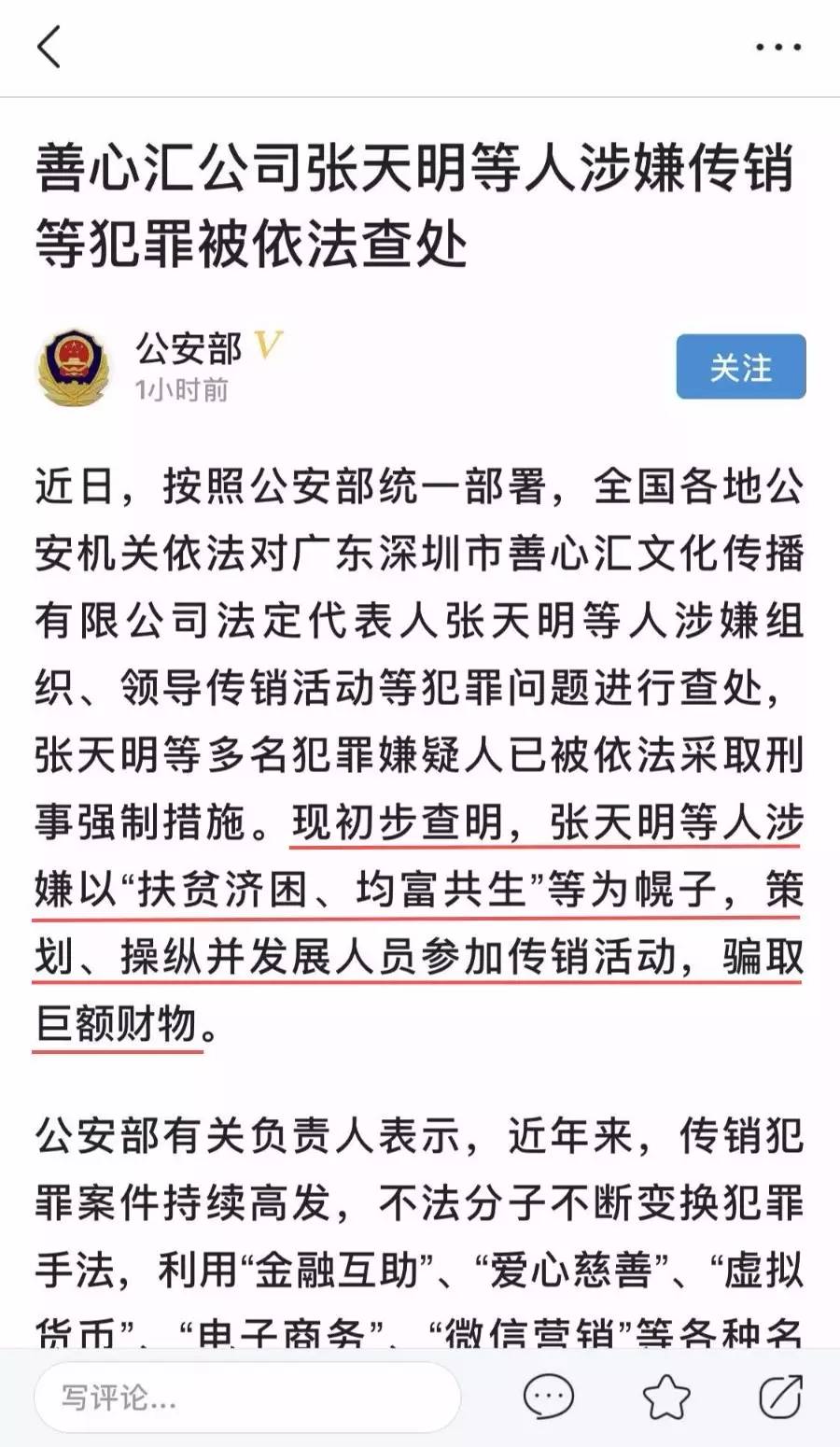 善心会最新动态，推动社会进步的力量之源