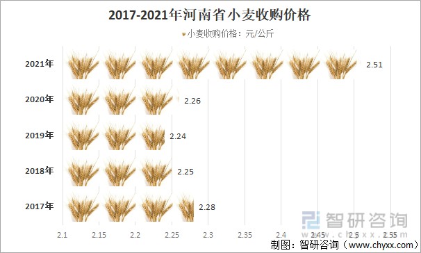 河北小麦价格最新动态分析