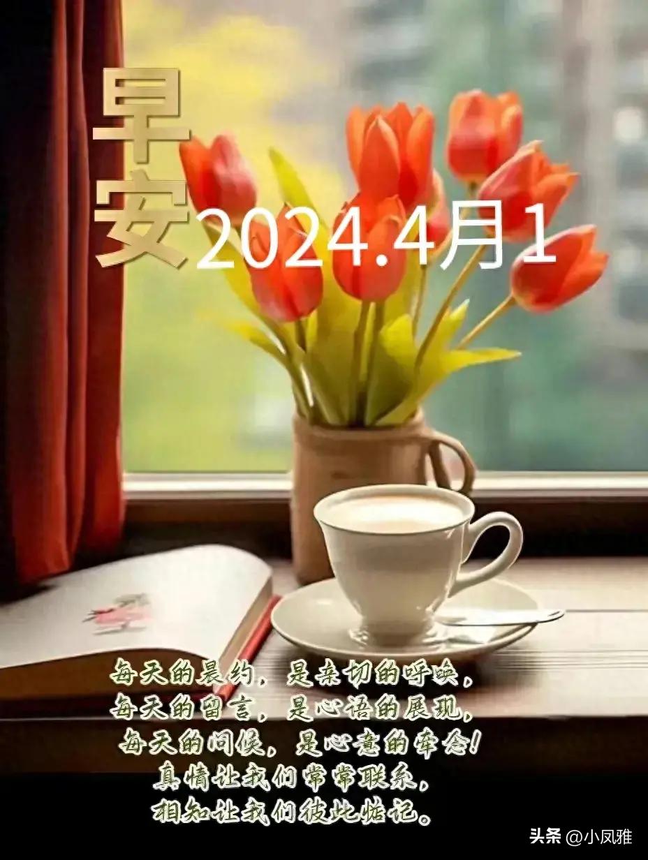 2024年天天彩免费资料,快速实施解答策略_娱乐版29.205