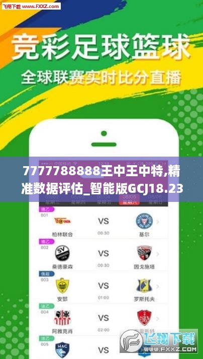 王中王72396网站,标准化流程评估_动态版49.26