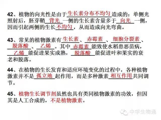 新澳龙门龙门资料大全,可持续发展执行探索_运动版64.141