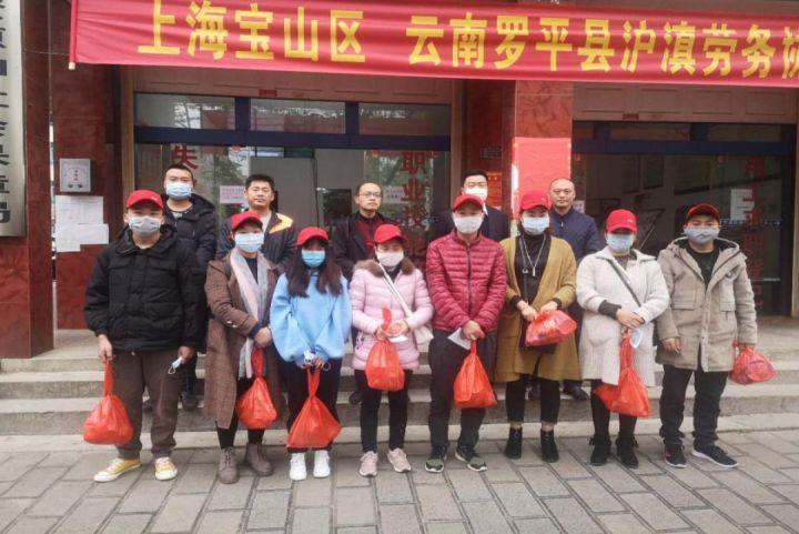 罗平开启新一轮人才招募之旅，最新招聘信息发布！