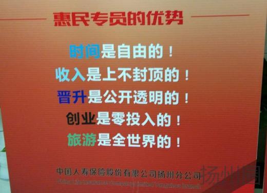 后整主管最新招聘启事，构建高效团队，引领企业创新前行