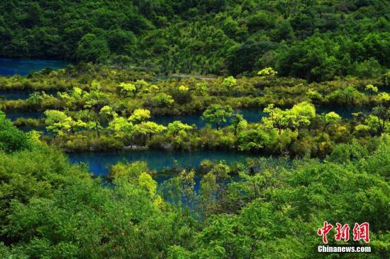 九寨沟最新状况，自然与人文的和谐共生之旅