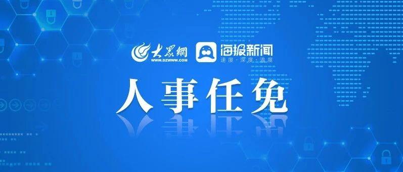 山东省人大最新任免动态，推动地方治理现代化的关键步伐