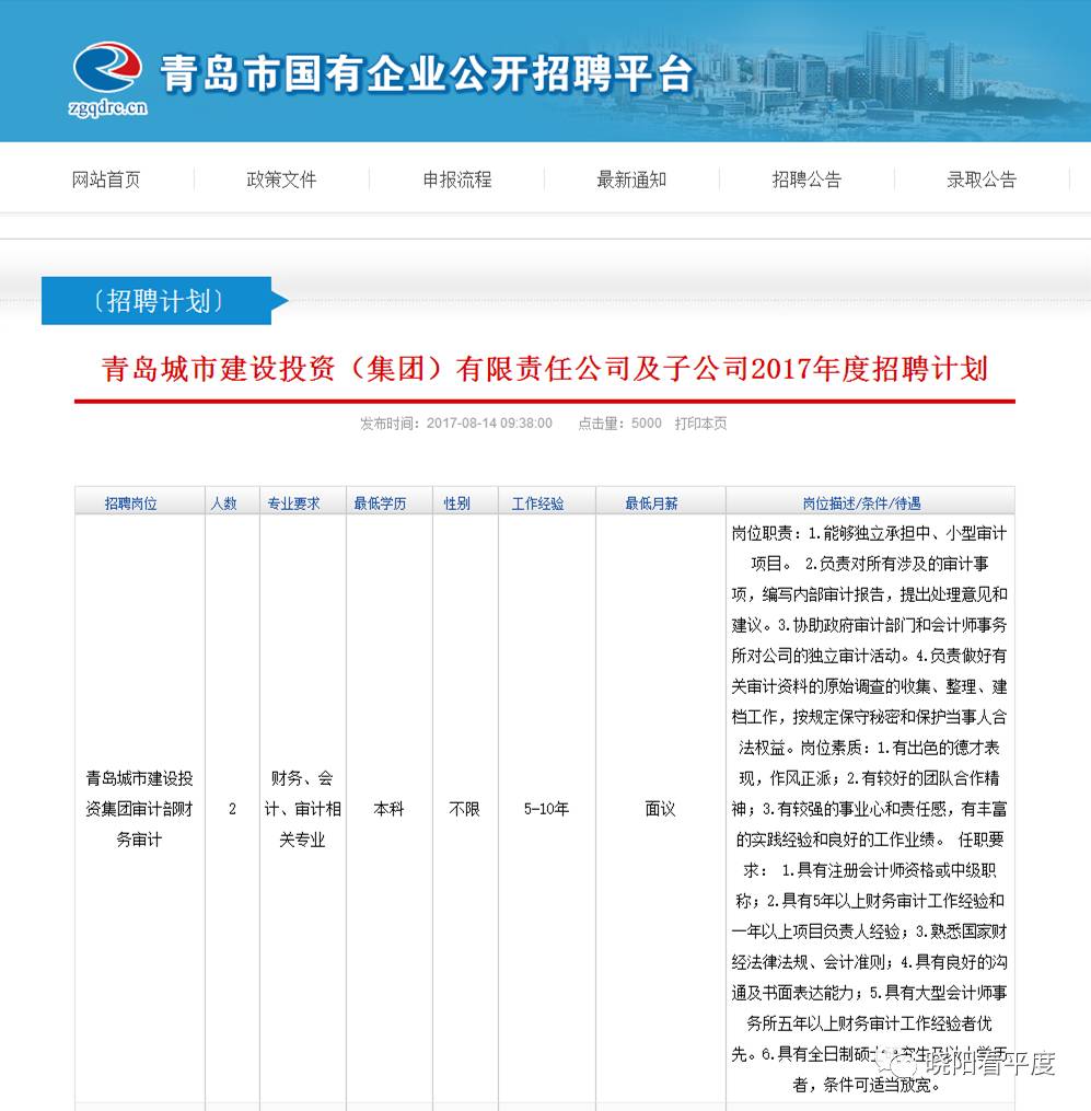 青岛中劳网最新招聘动态深度解析及招聘资讯速递